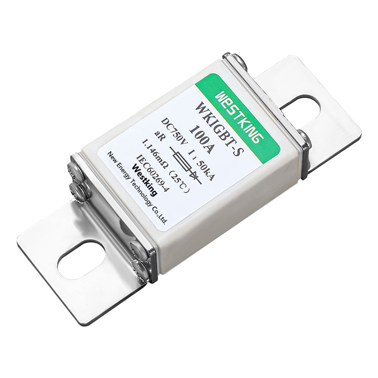 750VDC WKIGBT-S Fuse Link